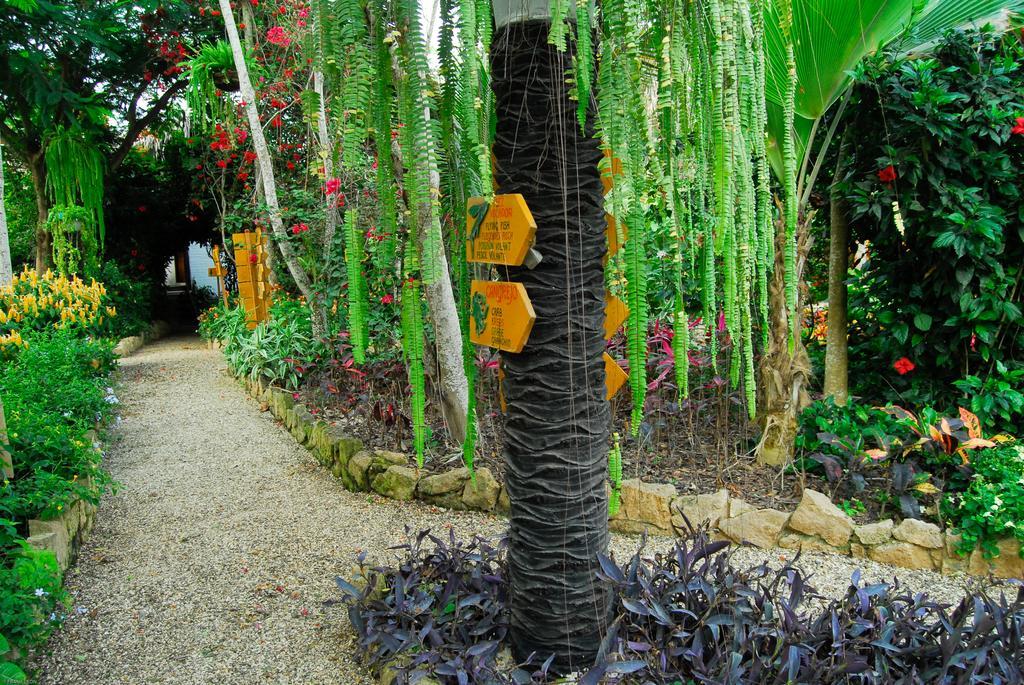 Hosteria Mandala Puerto Lopez Luaran gambar