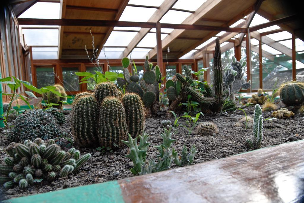 Hosteria Mandala Puerto Lopez Luaran gambar